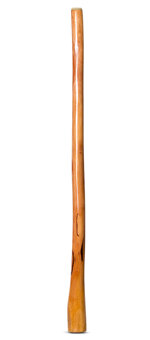 High Gloss Finish Didgeridoo (NW145)